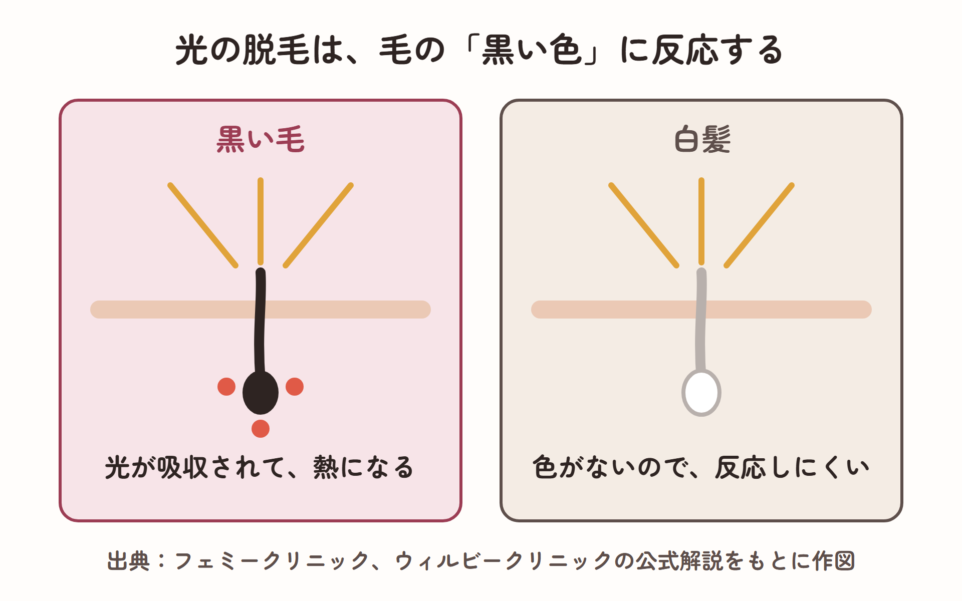 黒い毛は光が吸収されて熱になり、色のない白髪は光に反応しにくいことを示した図